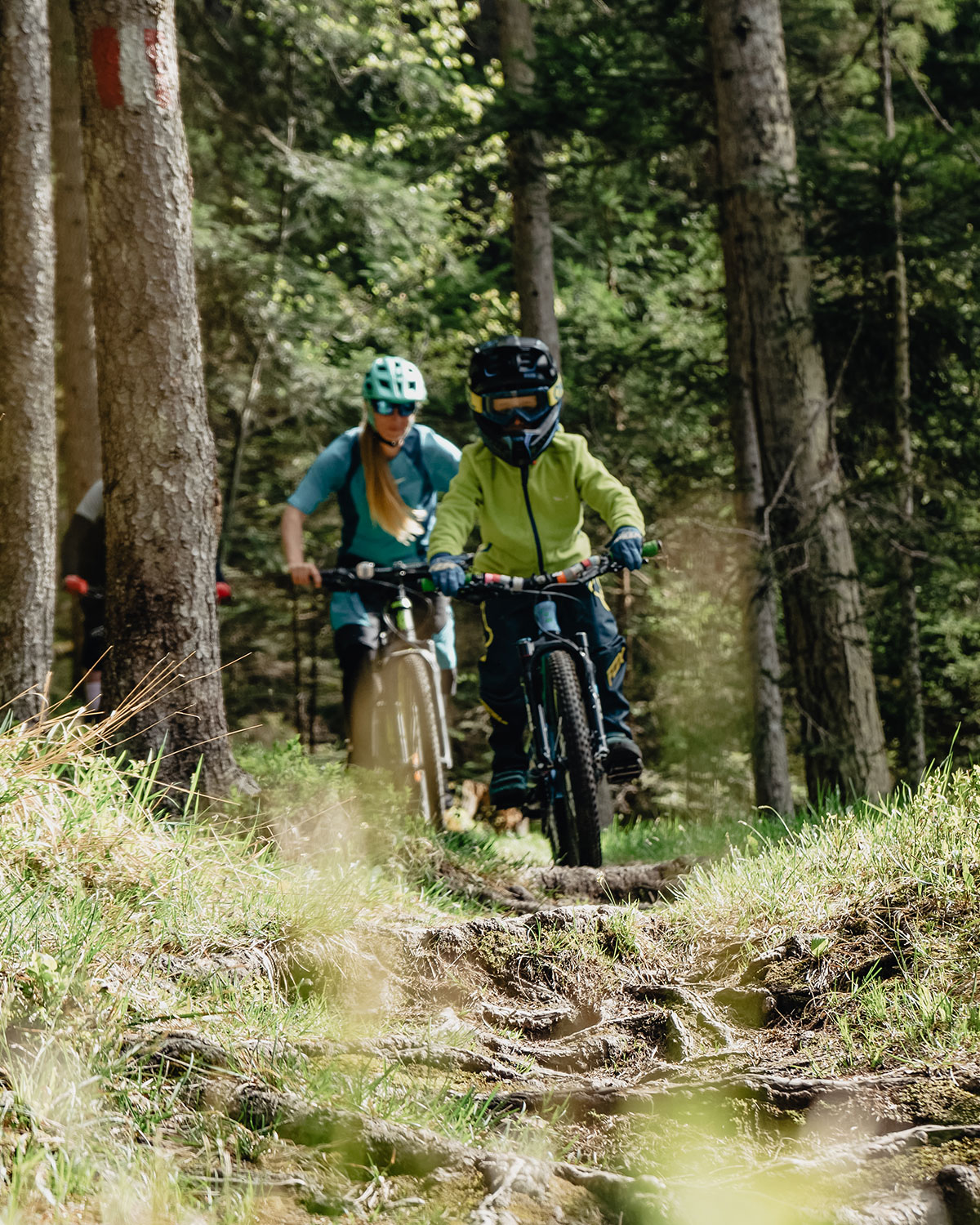 Katzenkopf Leutasch | Sommer | Bikeschule | Mountainbiken | Tirol
